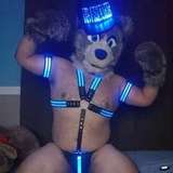 adalasterfox from onlyfans