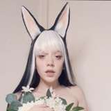 harearchy from onlyfans