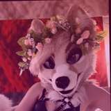 lunarifox from onlyfans